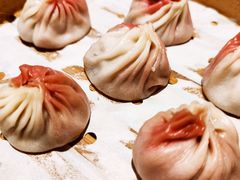 东坡肉肉小笼包-苏小柳点心·手作小笼包(新街口分院店)