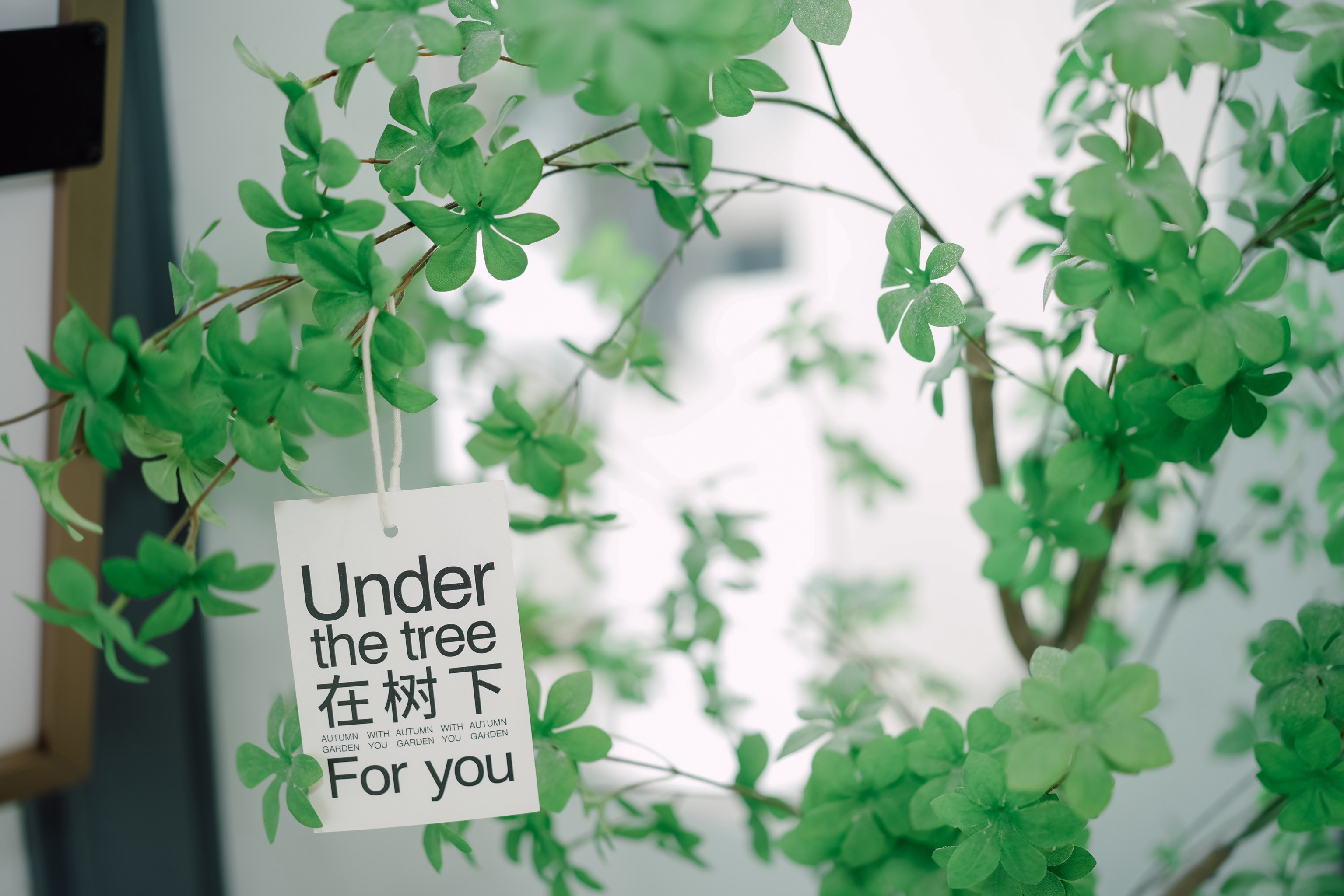 清新一角,治愈一天