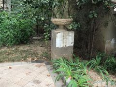 -天鹅湖生态旅游风景区