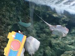 -南昌海洋公园