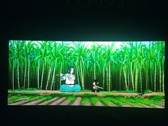 -博纳国际影城IMAX(中央大道店)