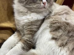 -白兔子密室(长寿路店)