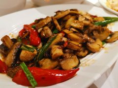 小炒口蘑-眉州东坡(中日友好医院店)