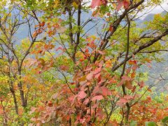 -秦岭终南山世界地质公园翠华山景区