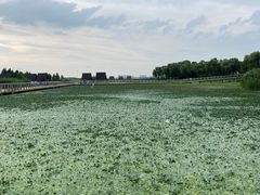 -滆湖低碳生态公园