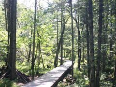 -峡谷浮石林景区