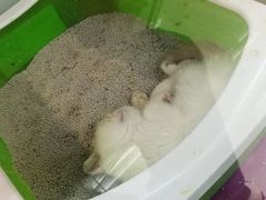 -乐宠宠物店(世纪金源店)