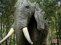 -揭东万竹园旅游景区