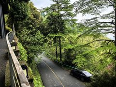 -莫干山风景区