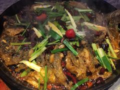 -老板恋上鱼(恒隆广场店)