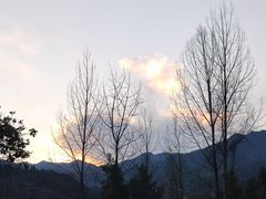 -33元日式搬家·整理收纳(渝北店)