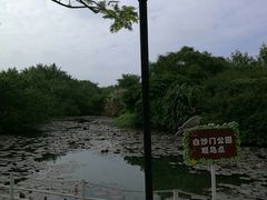 -白沙门生态公园
