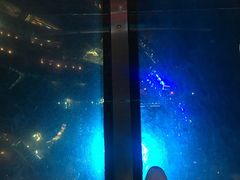 -339旋转餐厅(天府熊猫塔店)