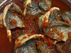 -风鑫铃罗非鱼(道沟店)