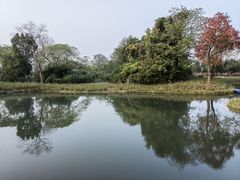 -良渚古城遗址公园