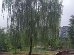 -沐仙湖湿地公园