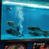 在杭州！会一直去吃的店！