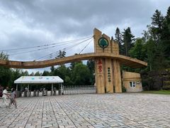 -五营红松林海景区