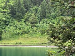 -武陵山森林公园