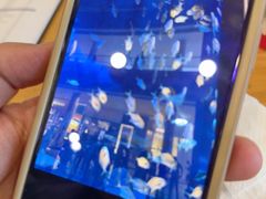-迪拜水族馆及水下动物园