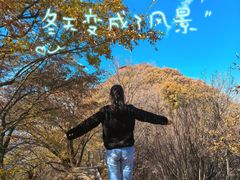 -少华山国家森林公园