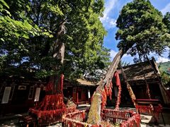-少华山国家森林公园