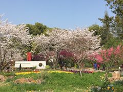 -苏州上方山国家森林公园