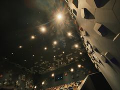 -星河寰宇IMAX影城(星河WORLD·COCO Park店)