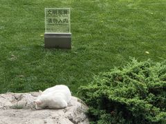 -静安公园(静安寺街道)