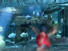 -青藏高原野生动物园