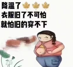 -Fundi张玉珊修身堂·indiba·BTL科技瘦身