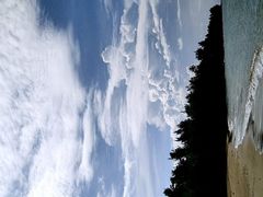 -东郊椰林