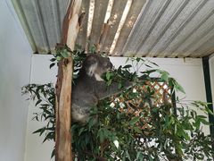 -费瑟代尔野生动物园