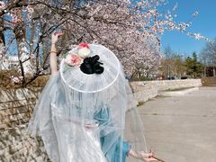 -天津东丽湖风景区