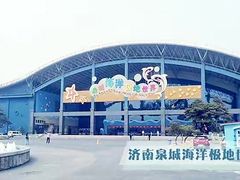 -泉城欧乐堡海洋极地世界