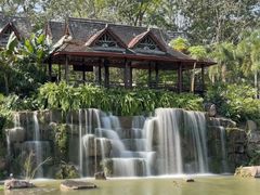 -中国科学院西双版纳热带植物园