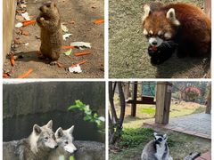 -常州淹城野生动物世界