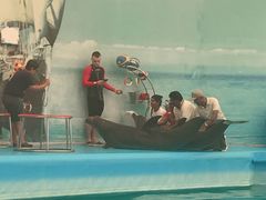 -尼莫海豚馆