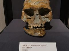 -北京周口店北京人遗址博物馆
