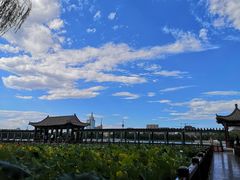 -莲花池公园