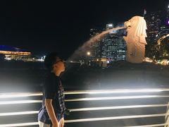 -鱼尾狮公园