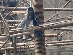 -石家庄市动物园