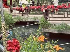 -水绘园