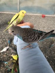 -萌宠亲子动物乐园(槐房万达店)