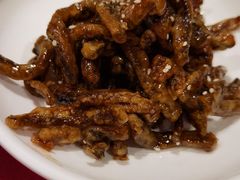 -老吉士酒家(天平路店)