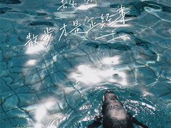 -上海野生动物园