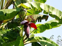 -西双版纳融创皇冠假日度假酒店