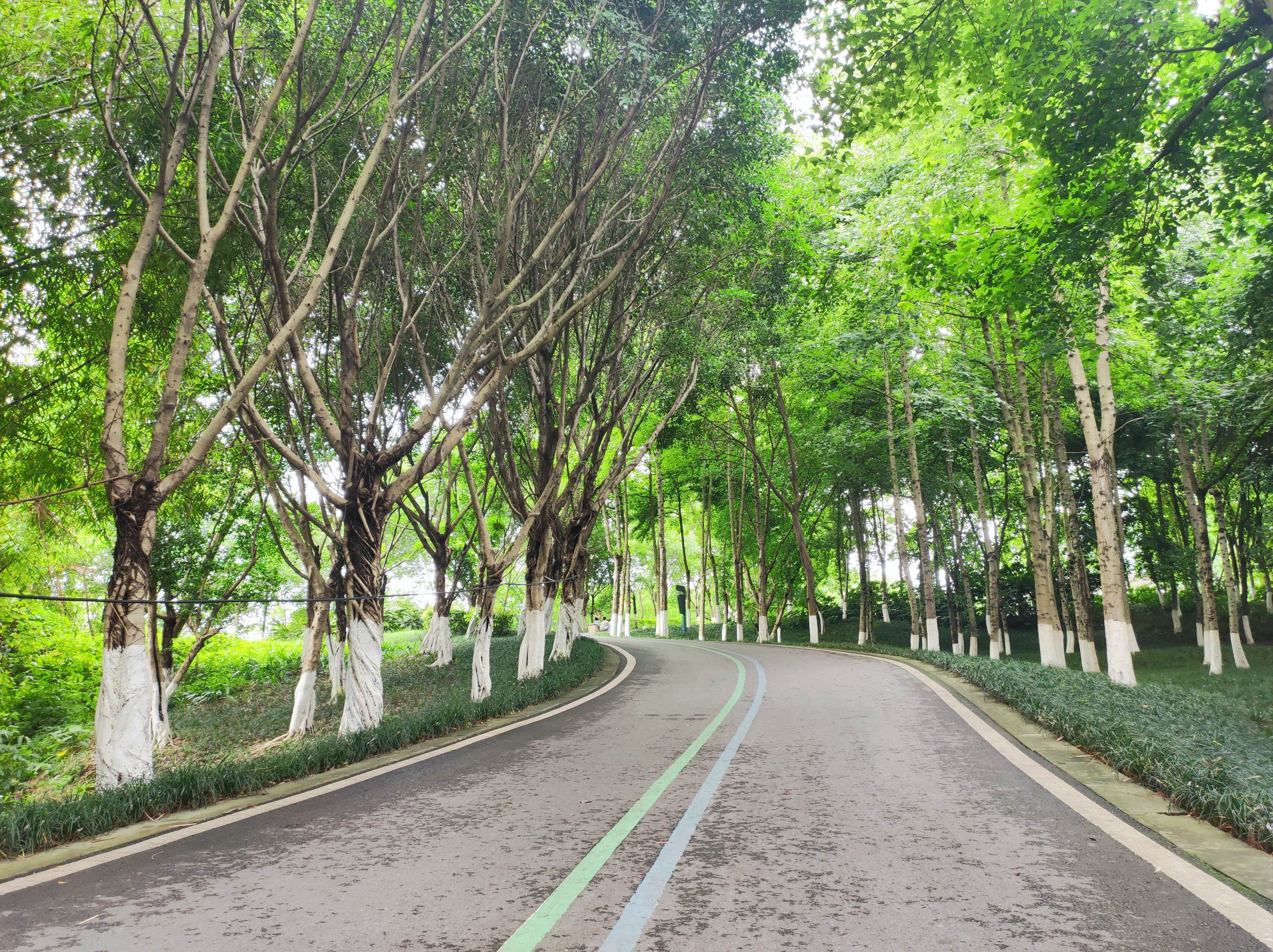 盘溪河湿地公园