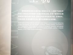 -中国湿地博物馆