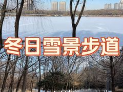 -长白岛森林公园